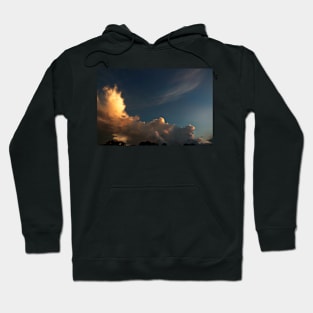 Incoming Hoodie